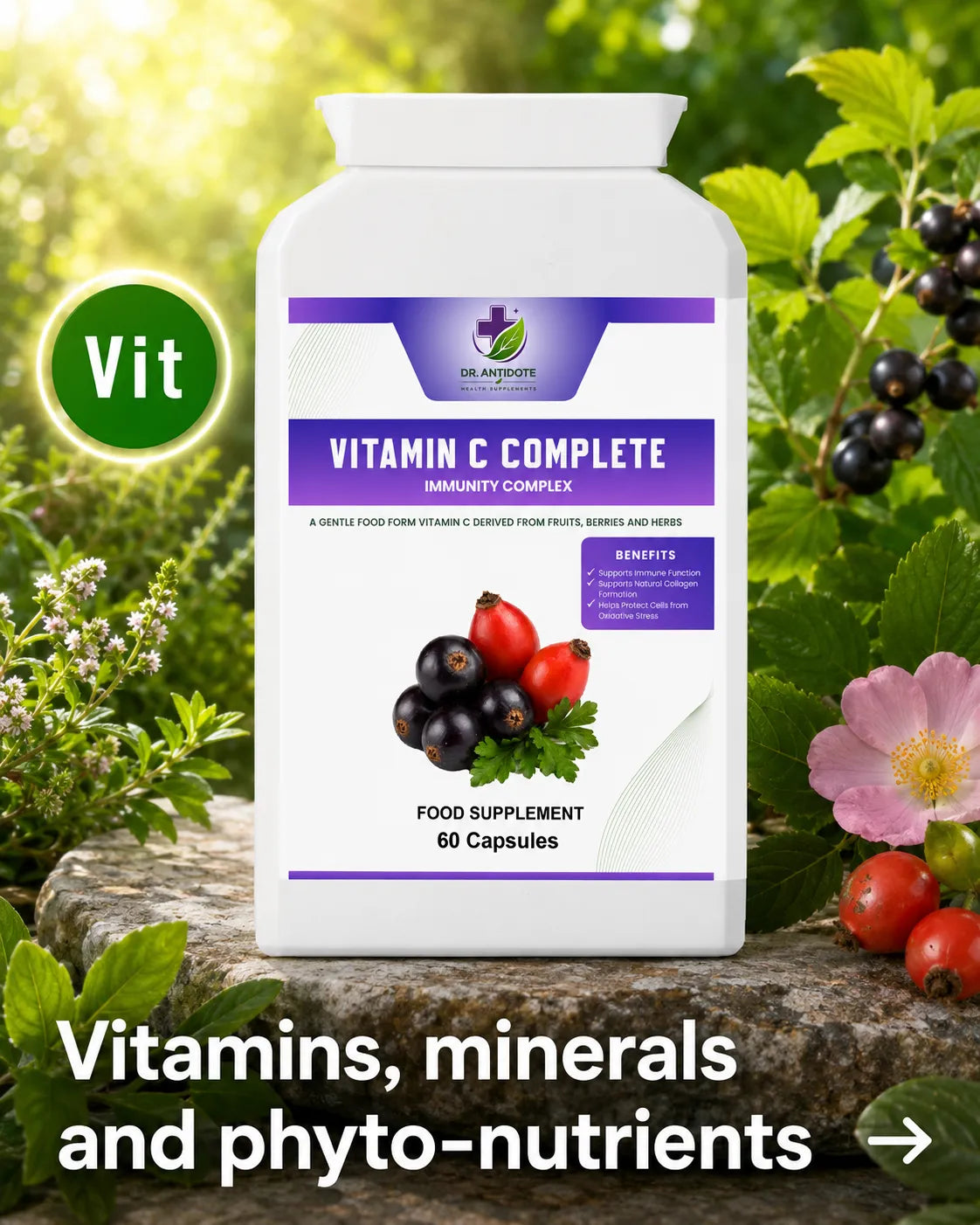 Vitamins, Minerals and Phyto-Nutrients
