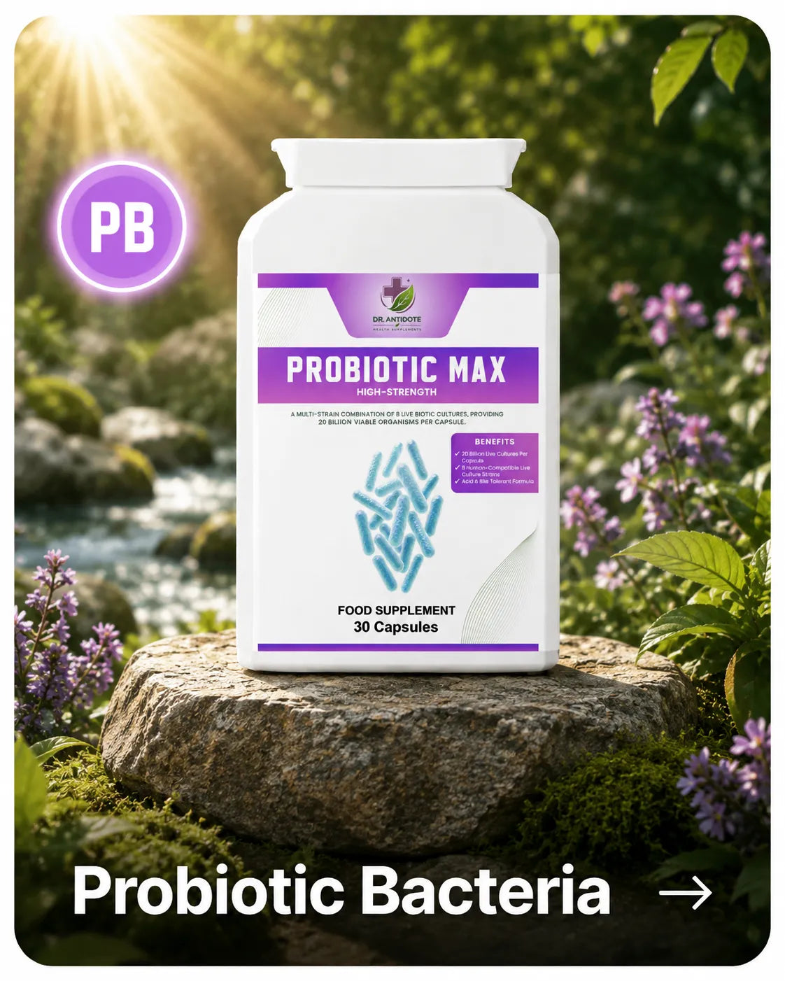 Probiotic Bacteria