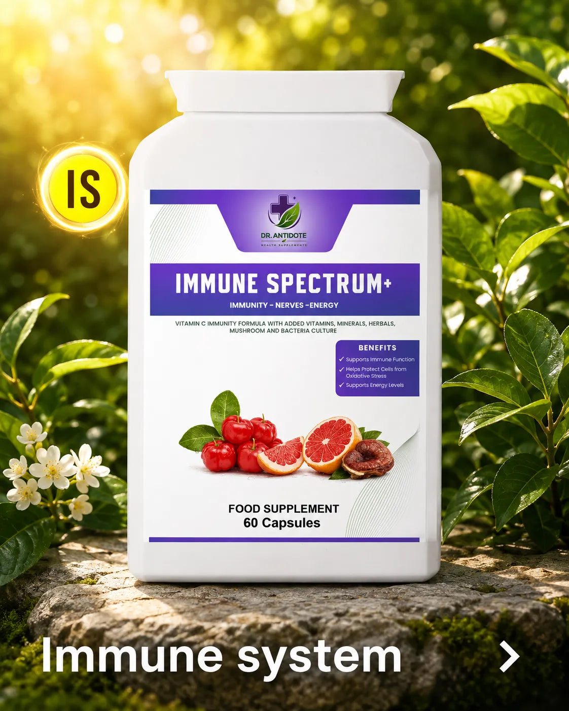Immune System